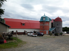 cyO