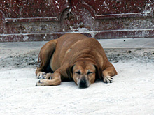 f܂Ăǌ