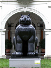 Cat, in fron of SAM
