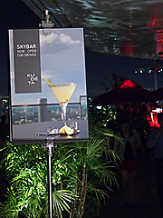 from the top op Marina Bay Sands
