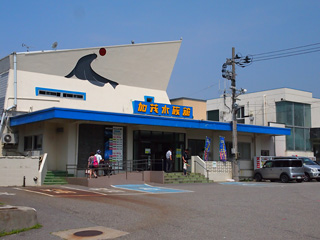 ΐ