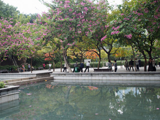九龍公園
