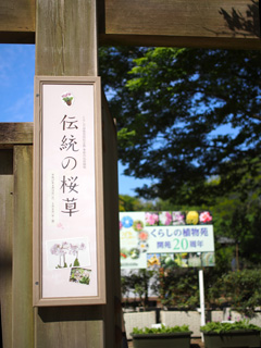 くらしの植物苑