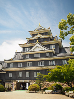 岡山城