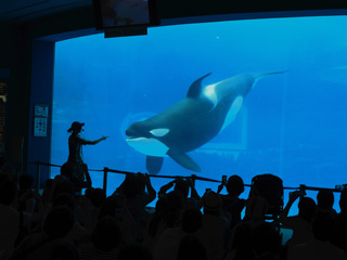 名古屋港水族館