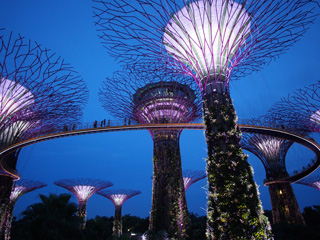 Gardens by the Bay South