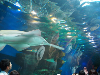 Epson Aqua Park Shinagawa