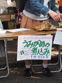 東京海洋大学