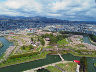 五稜郭タワーから