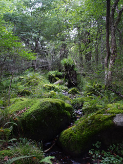 八ヶ岳高原ロッジ