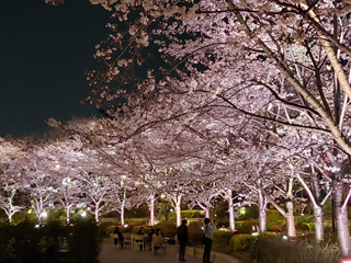 東京ミッドタウン