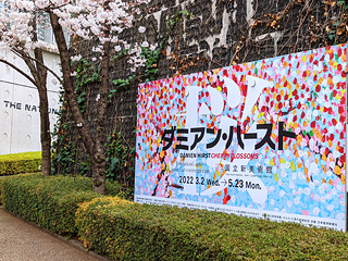国立新美術館