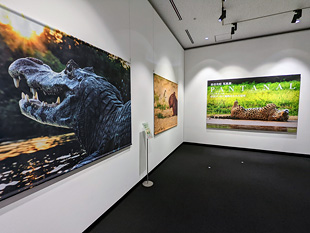東京都写真美術館