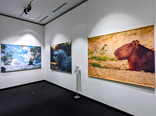 東京都写真美術館