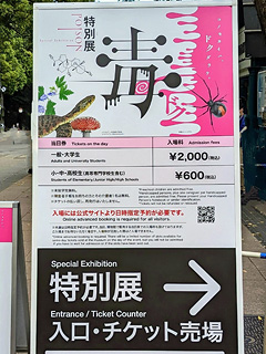 国立科学博物館