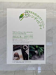 東京都写真美術館