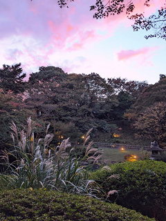 東京都庭園美術館