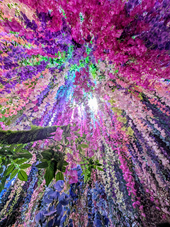 TOKYO NODE 