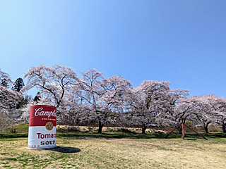 原美術館ARC