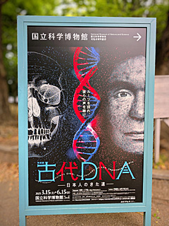 国立科学博物館