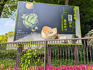 国立西洋美術館