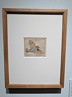 国立西洋美術館