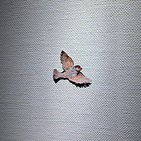 国立西洋美術館