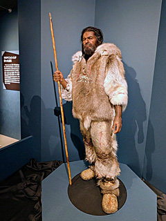 国立科学博物館