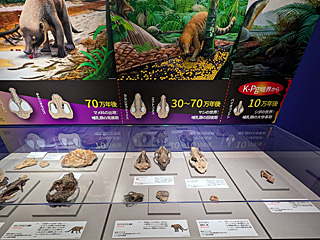 国立科学博物館