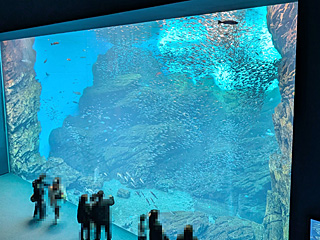 仙台うみの杜水族館