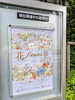 山種美術館