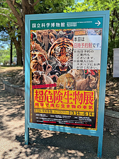 国立科学博物館